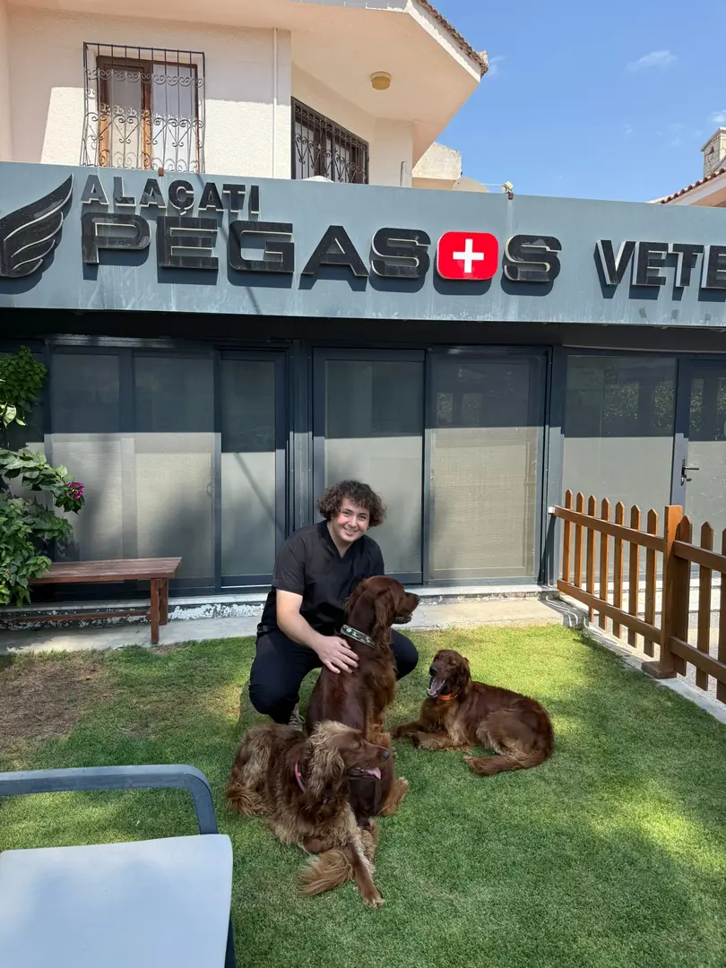 Pegasos Alaçatı Kliniği Galeri 2